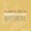 Shampoo hipoalergénico Natural Quillay, Matico y Aloe Vera 350 ml - Imagen 3