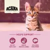 Acana Cat First Feast 1,8Kg - Imagen 3