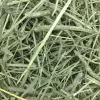 Heno Western Timothy 425 Gr - Imagen 3
