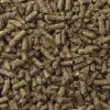 Alimento Mazuri para Conejo Timothy 1 Kg - Imagen 3